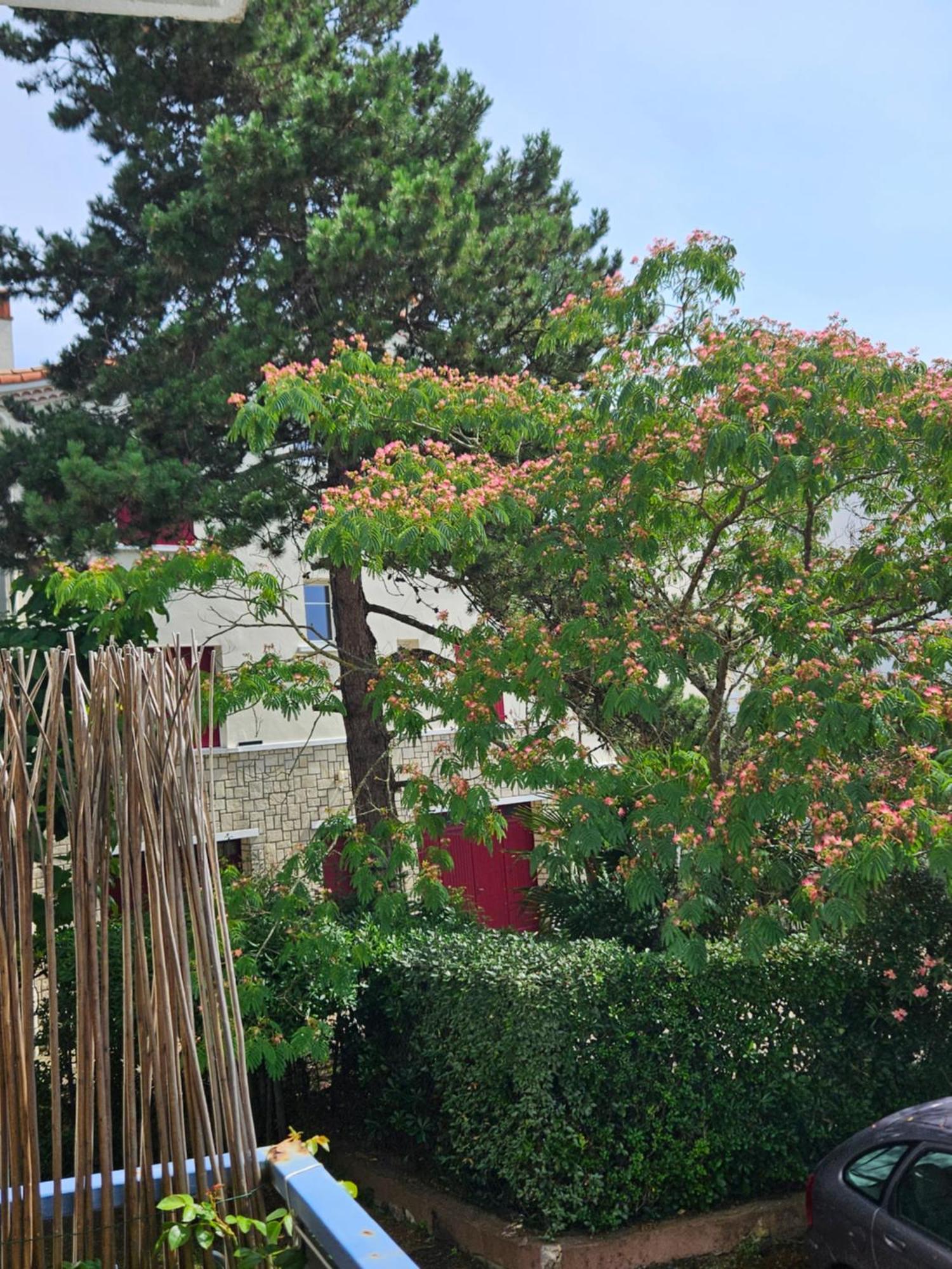 Appartement De Charme , Royan, Proche Mer Avec Balcon. Exterior photo